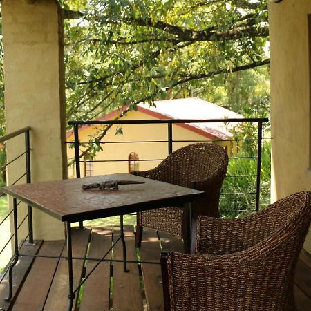 האזיביו Bohm'S Zeederberg Country House מראה חיצוני תמונה